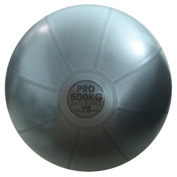 Swiss ball 500 kg - 75 cm is ideaal om te gebruiken voor krachttraining